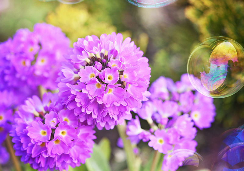 三部委联合出台《煤电节能减排升级与改造行动计划》