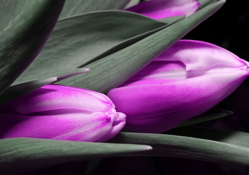 国务院：大力扶持节能产业